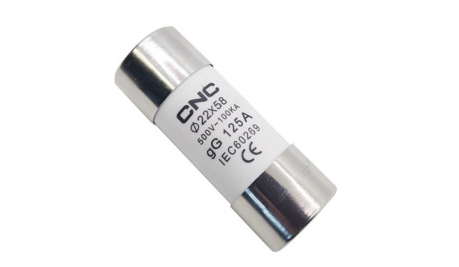 Fuse, 500V, gG 125A, 22x58mm