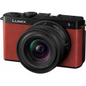 Panasonic Lumix DC-S9 + 18-40mm, crimson red