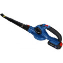 Blaupunkt CB2010 Cordless Blower