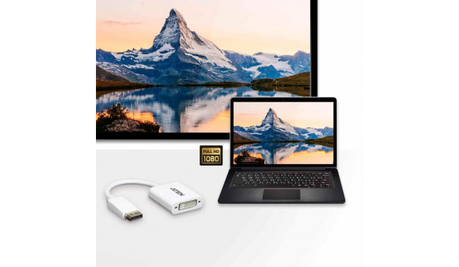 ATEN Adapter DisplayPort - DVI  M/F FullHD 1080p@60Hz