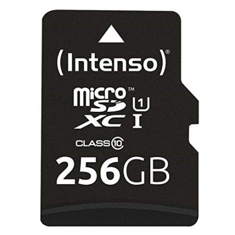 Intenso mälukaart microSD UHS-I Premium 256GB Class 10