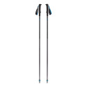 Trekking poles Black Diamond DISTANCE Z POLES PEWTER