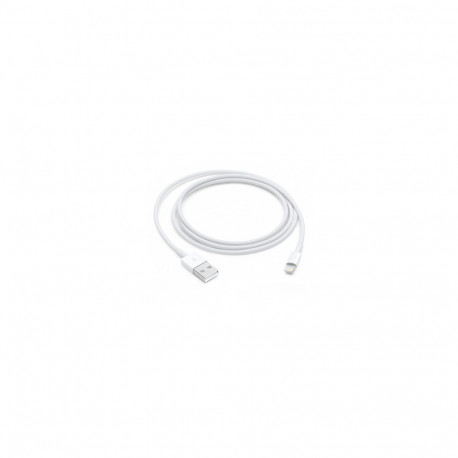 Apple Lightning to USB Cable (1m)
