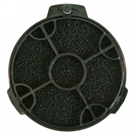 Carbon filter