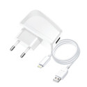 BLUE STAR LITE travel charger 1A 5W USB A + cable USB A to Lightning TFK-TC-1095B white