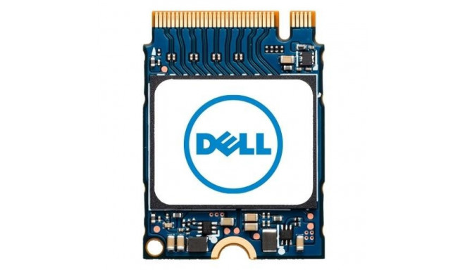 DELL AB673817 internal solid state drive 1 TB M.2 PCI Express NVMe