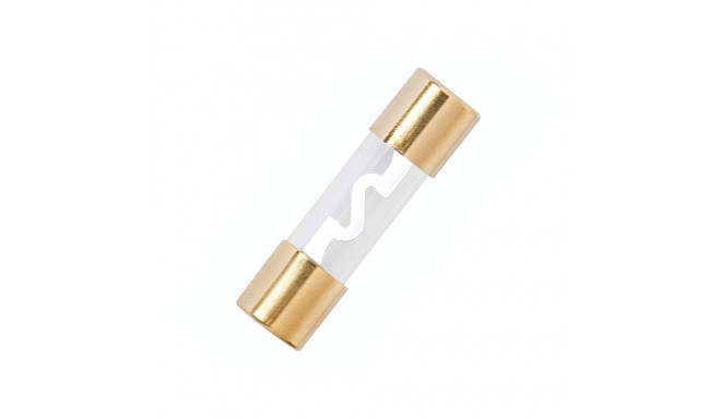 Autode klaassulavkaitse 80A 10,3x38mm (5 tk.)