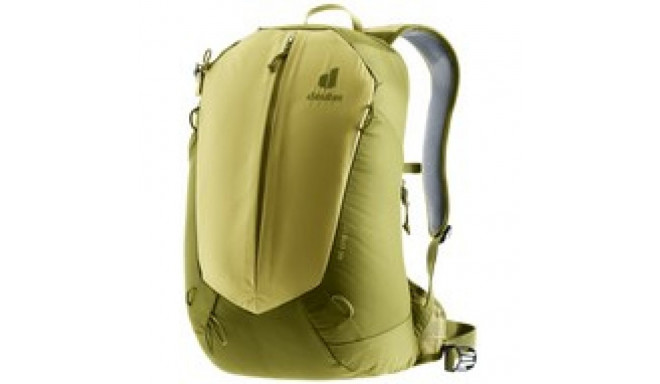 AC Lite 17 linden-cactus