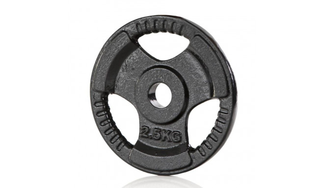 Raskusketas GYMSTICK Iron Weight, 30 mm, 2,5 kg