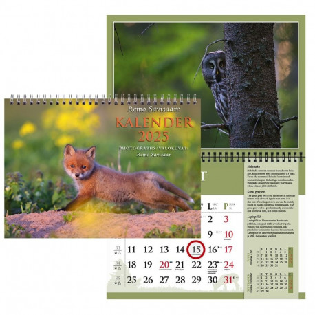 Seinakalender "Remo Savisaar" A3 spiraalköide 00364