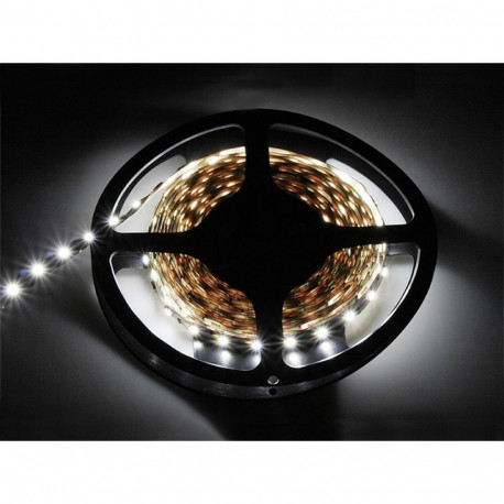 LED riba külm valge 5050 5m/300