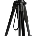 D-Fruit tripod 205 + phone adapter M