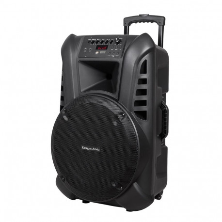 Active Speaker Cabinet (with 2 wireless microphones UHF, SD, Bluetooth, FM, USB) 60 Watt