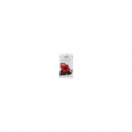 Tee KLINGAI Hibiskuse 100g