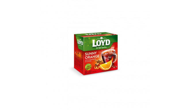 Tee LOYD apelsinikaneeli ja nelgimaitseline 20 x 2g