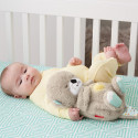 Fisher-Price Soothe 'N Snuggle Otter