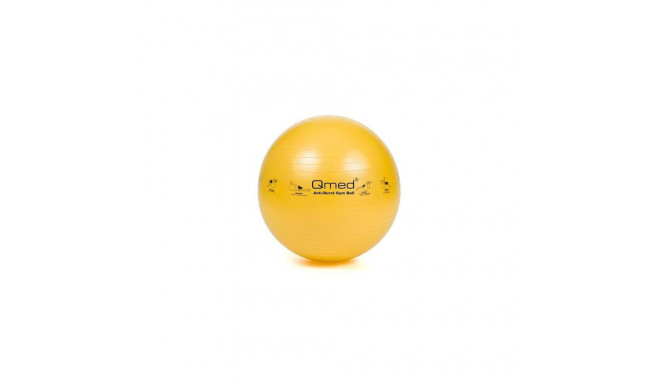 ABS rehabilitation ball with pump 45cm