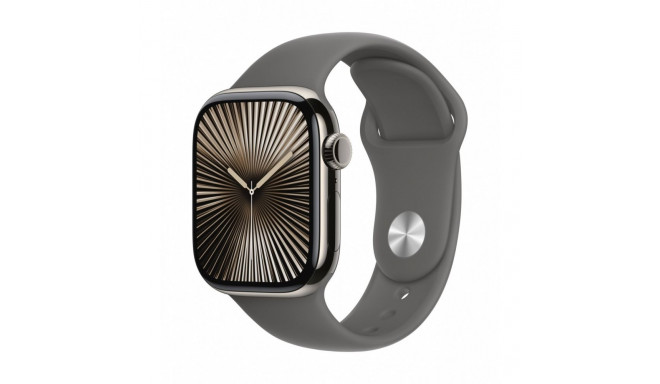 Watch Series 10 GPS + Cellular 42 mm Natural Titanium Case with Stone Grey Sport Band - M/L