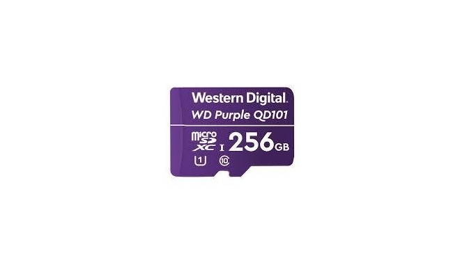 MEMORY MICRO SDXC 256GB UHS-I/WDD256G1P0C WDC