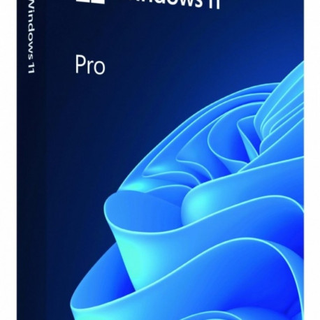 Windows Pro 11 64bit ENG USB Flash Drive Box HAV-00163 Successor of P/N: HAV-00060