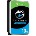 Drive SkyHawkAI 10TB 3,5 256MB ST10000VE001