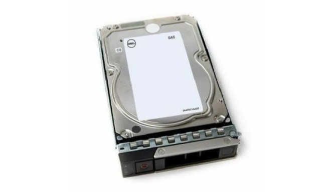 Dell HDD 3.5 / 12TB / 7.2k / NLSAS / 12Gb / 512e / Hot-Plug / 15G