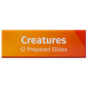 Prepared Slides Set Levenhuk LabZZ C12 Creatures