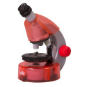 Microscope for children, Levenhuk LabZZ M101 Orange, 40x-640x, with Experiment kit