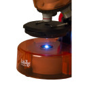 Microscope for children, Levenhuk LabZZ M101 Orange, 40x-640x, with Experiment kit