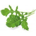 Click & Grow Smart Garden refill Arugula 3pcs