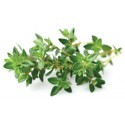 Click & Grow Smart Garden refill Thyme 3pcs