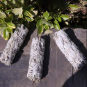Ancient Wisdom Incense - Sage of Spiritual Purification