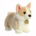 AURORA Miyoni pehme mänguasi corgi, 18 cm