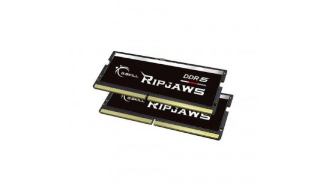 G.Skill RAM Ripjaws 64GB (32GBx2)GB DDR5 4800MHz Notebook Non-ECC 2x32GB