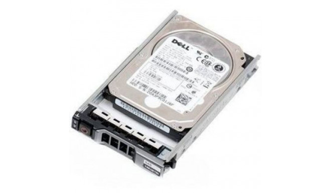 Dell SERVER ACC HDD 12TB 7.2K NLSAS/3.5'' G14-G16 161-BCJW