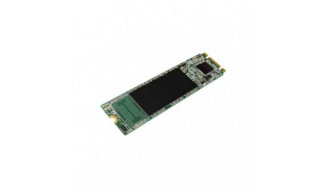 Silicon power A55 256 GB, SSD interface M.2 SATA, Write speed 450 MB/s, Read speed 550 MB/s
