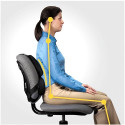 Fellowes Ergonomics professionaalne seljatoe padi