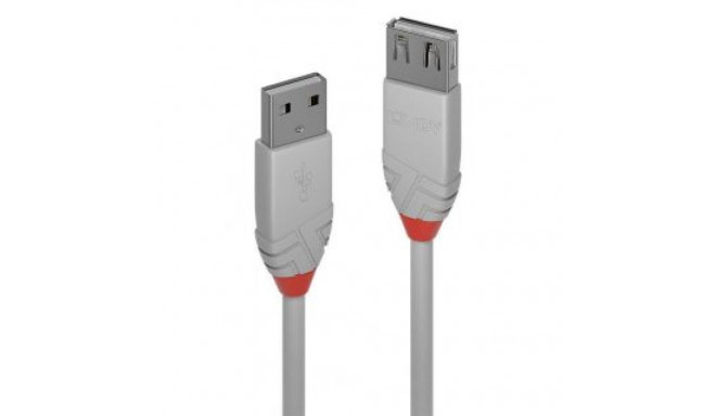 LINDY CABLE USB2 TYPE A 3M/ANTHRA 36714