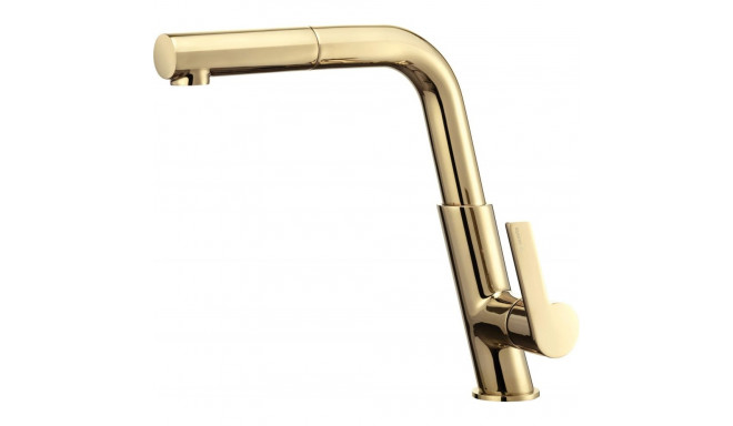 Kitchen faucet with pull-out spout
