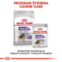 ROYAL CANIN Mini Sterilised - kuivtoit täiskasvanud koertele, väikestele tõugudele, pärast sterilise