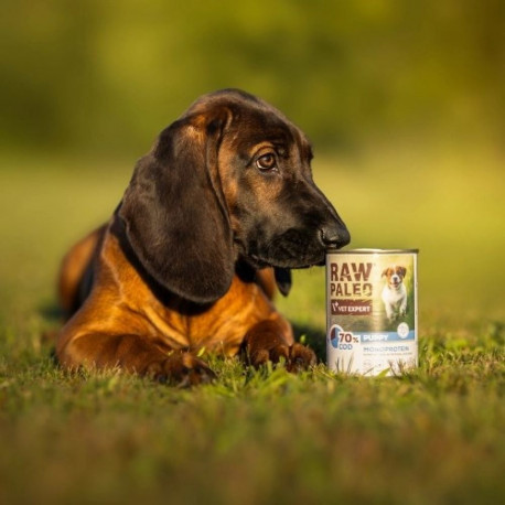 RAW PALEO Puppy monoproteiin tursk märgtoit kutsikatele 400 g