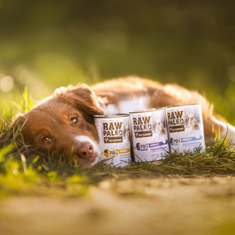 VETEXPERT Raw Paleo täiskasvanud koerte monoproteiinne pardilihaga märgtoit 400 g