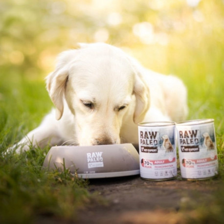 VETEXPERT Raw Paleo Adult monoproteiinne sealiha märgtoit koertele 400 g