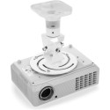 Techly universaalne projektori laekinnitus, valge ICA-PM 100WH
