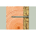 Fischer kruvikeeraja FPF-ST P 5.0x80 A2, 100 tk.
