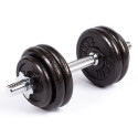 Profit 10kg DK 4126 cast iron dumbbell