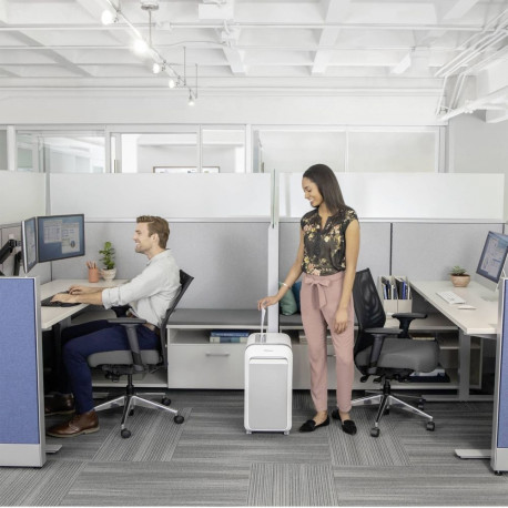 Fellowes LX221 biała