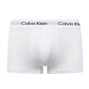 Calvin Klein Low Rise Trunk M 0000U2664G boxer shorts (XL)