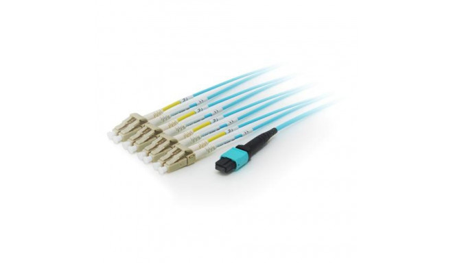 Equip MTP/MTP Trunk Fiber Optic Patch Cable, OM4, 10m