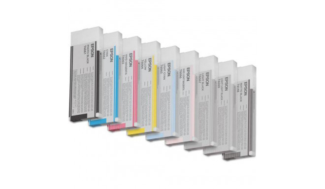 Epson Singlepack Light Light Black T606900 220 ml